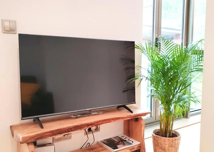 Daire Centro Con Parking Viveiro